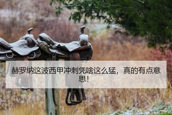 he-luo-na-zhe-bo-xi-jia-chong-ci-ping-sha-zhe-me-meng-zhen-de-you-dian-yi-si-2-429.jpg