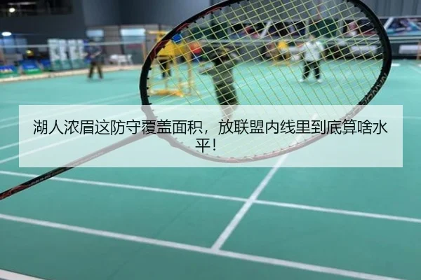 湖人浓眉这防守覆盖面积，放联盟内线里到底算啥水平！（kaiyun）
