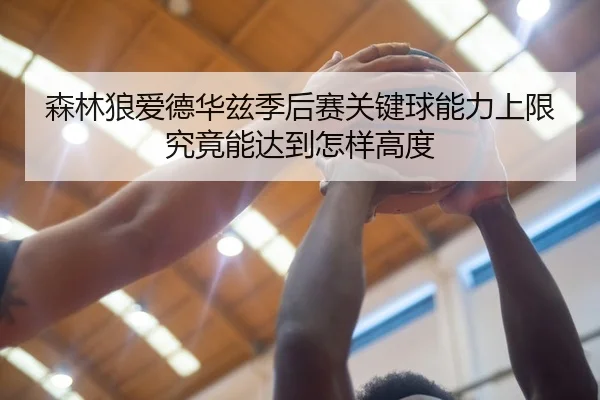 森林狼爱德华兹季后赛关键球能力上限究竟能达到怎样高度（kaiyun）