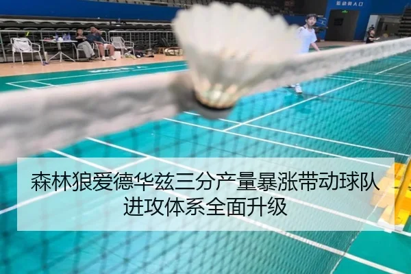 森林狼爱德华兹三分产量暴涨带动球队进攻体系全面升级